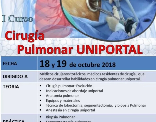 Cirugía Pulmonar Uniportal I Curso dirigido a Médico torácicos
