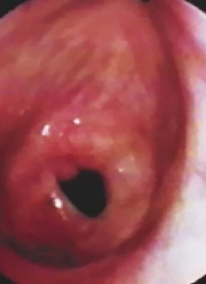 Dr. Víctor Gómez Ponce